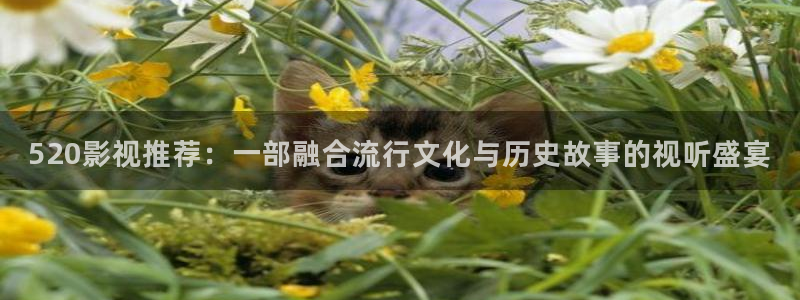 星空影院免费入口：520影视推荐：一部融合流行文化与历史故事的视听盛宴