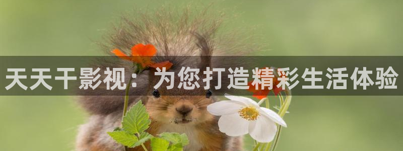 星空影院在线观看电视：天天干影视：为您打造精彩生活体验