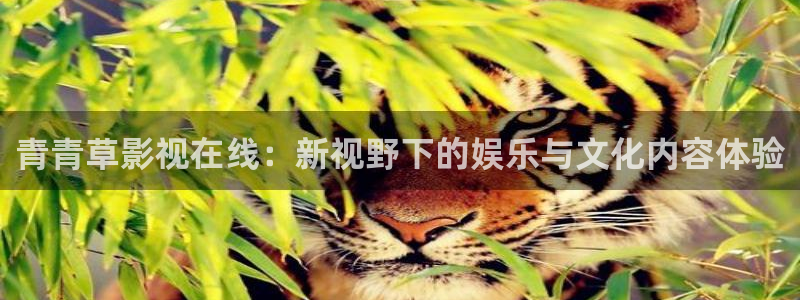 星空影院旧版本入口：青青草影视在线：新视野下的娱乐与文化内容体验