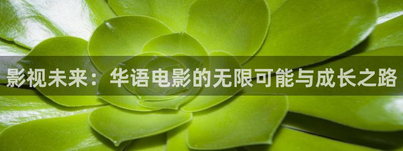星空影院在线观看电视剧免费观看：影视未来：华语电影的无限可能与成长之路