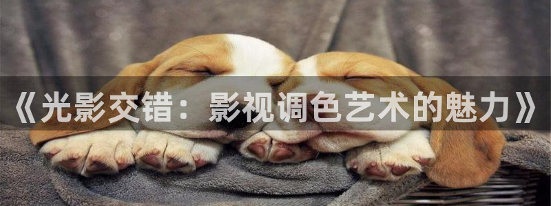 伦理片星空影院：《光影交错：影视调色艺术的魅力》