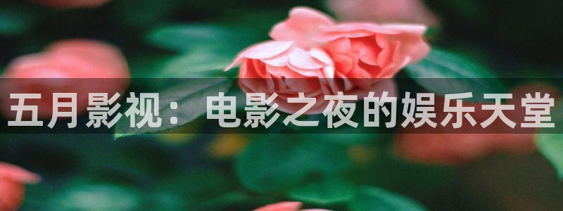星空影院高清电影电视剧免费观看：五月影视：电影之夜的娱乐天堂