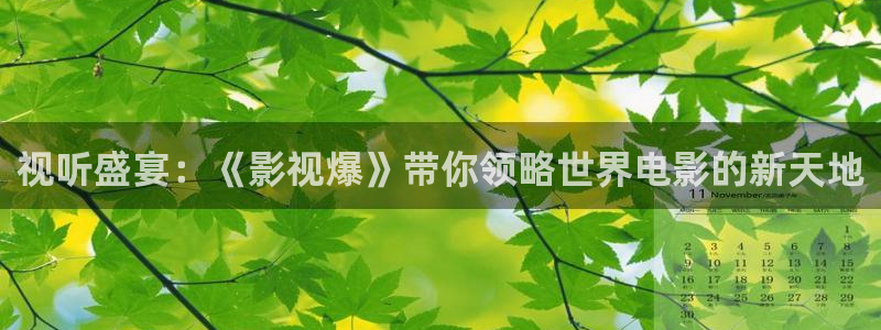星空影院大全在线观看完整：视听盛宴：《影视爆》带你领略世界电影的新天地