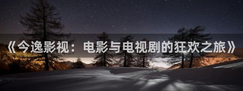 星空影院影视在线：《今逸影视：电影与电视剧的狂欢之旅》