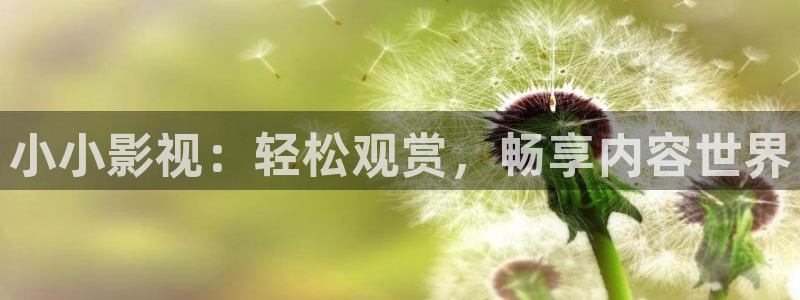 星空影院电视剧免费大全最新：小小影视：轻松观赏，畅享内容世界