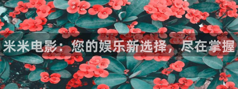 感官世界星空影院在线观看：米米电影：您的娱乐新选择，尽在掌握